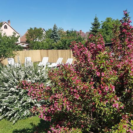 Kovacs Vendeghaz Apartment Mátraderecske Екстериор снимка