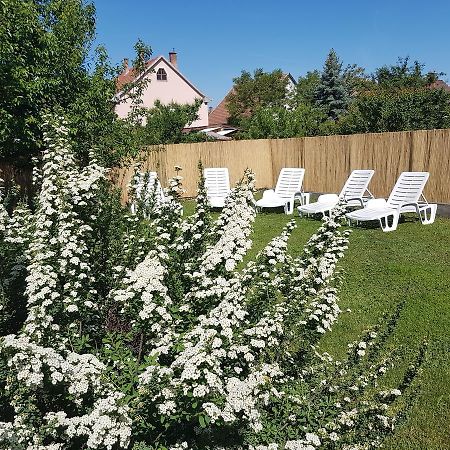 Kovacs Vendeghaz Apartment Mátraderecske Екстериор снимка